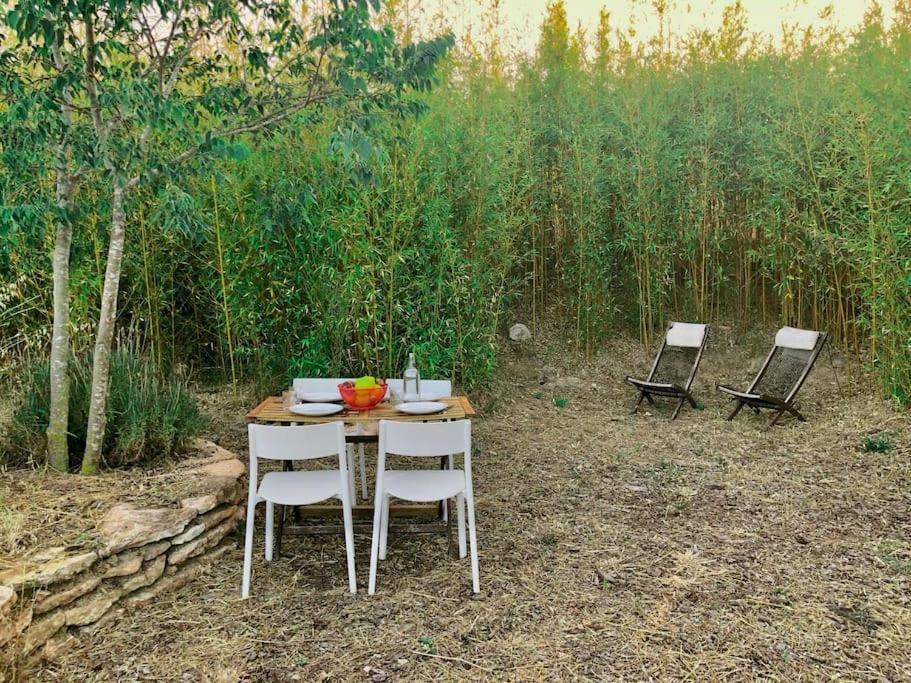 Eco Tiny Home & Office For Digital Nomads Vallmoll Екстер'єр фото